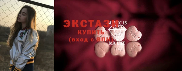 индика Карпинск