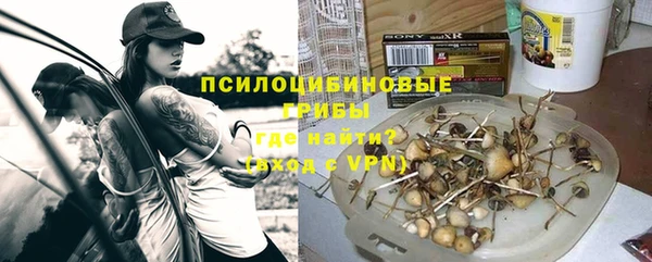 ГАЛЛЮЦИНОГЕННЫЕ ГРИБЫ Бронницы