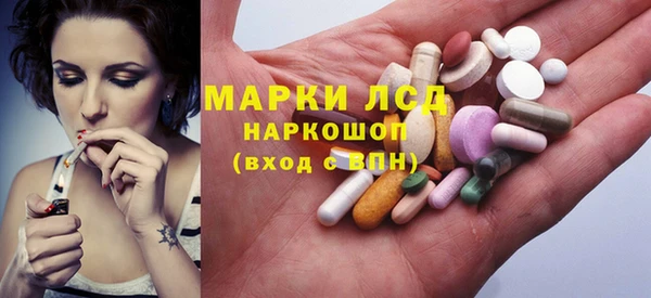 прущие грибы Касимов