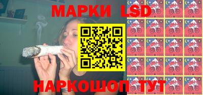 apvp Канаш