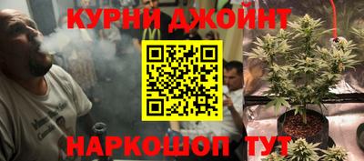 apvp Канаш