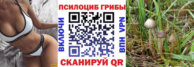Галлюциногенные грибы Psilocybine cubensis Наро-Фоминск