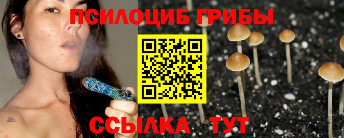 Галлюциногенные грибы GOLDEN TEACHER  закладки  Вход с VPN  Наро-Фоминск  Галлюциногенные грибы MAGIC MUSHROOMS 